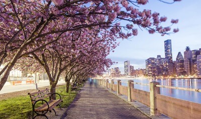 Nova York: Quando ir